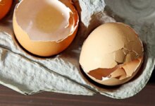 چه دلایلی باعث نازکی پوسته تخم مرغ می شود ؟
