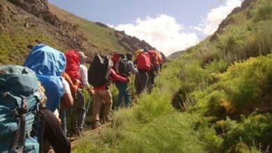 انواع مختلف ترکینگ و مزایایی که به همراه دارد ! (2 نکته مهم)