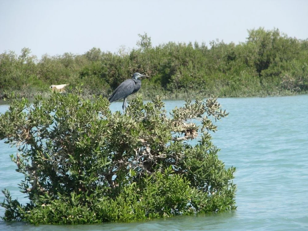 تالاب خورخوان