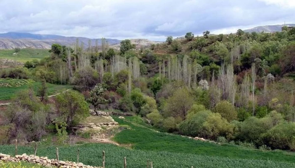 طبیعت بکر روستای کلم ایلام