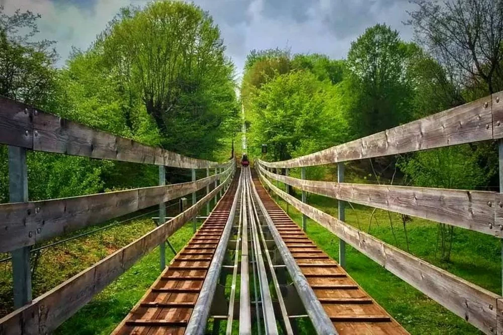 عکس پارک جنگلی سیاهداران