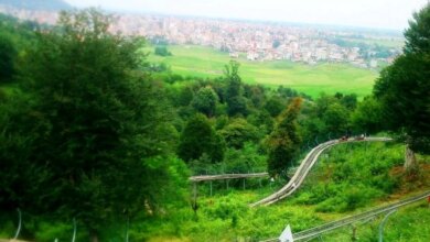 پارک جنگلی سیاهداران / آرامشی از جنس طبیعت (+ تصاویر)
