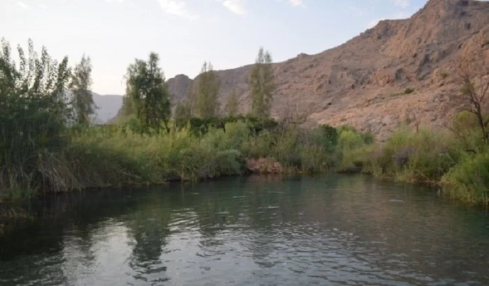 تصاویر چشمه گلابی
