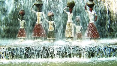 باغ سنگی چاندیگار هند کجاست؟ مسیر دسترسی + تصاویر (+ تصاویر)