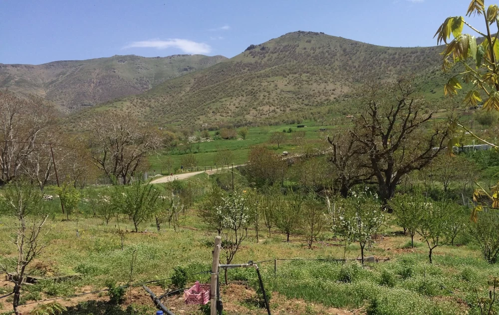 سفر به روستای نجنه علیا