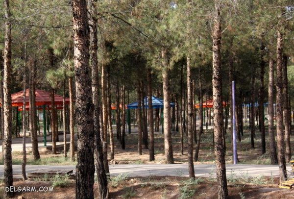 تصاویر بوستان غدیر قم