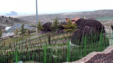 بوستان باراجین قزوین : پارک جنگلی فدک بزرگ‌ترین پارک جنگلی کشور (+ تصاویر)