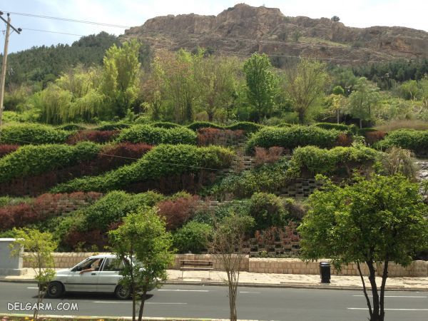 پارک کوهستانی بوستان شیراز