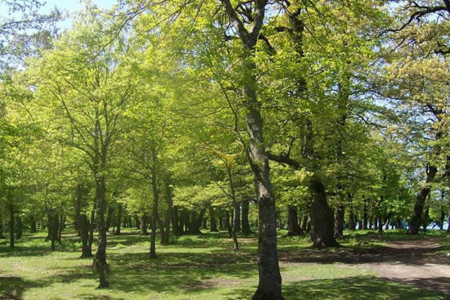 بهترین پارک های سمنان : آدرس پارک های سمنان کجاست ؟ (+ تصاویر)