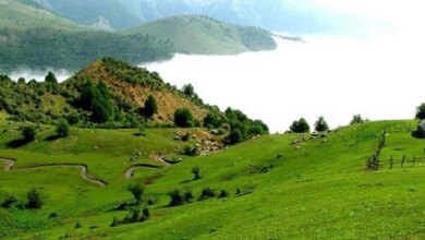 املش کجاست؟ طبیعتی باور نکردنی در شمال ایران (+ تصاویر)