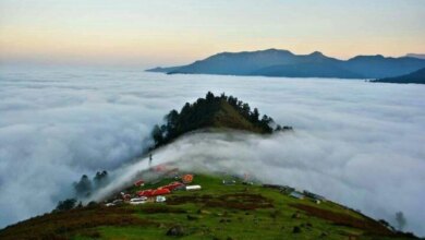 جنگل ابر شاهرود کجاست؟ (+ تصاویر)