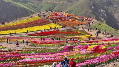 راهنمای بازدید از روستای کندر کرج و مسیر دسترسی (+ تصاویر)
