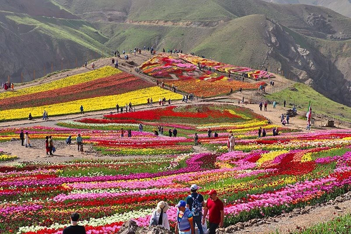 راهنمای بازدید از روستای کندر کرج و مسیر دسترسی (+ تصاویر) راهنمای بازدید از روستای کندر کرج و مسیر دسترسی (+ تصاویر)