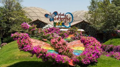 باغ پروانه دبی کجاست ؟| راهنمای بازدید + عکس (+ تصاویر)