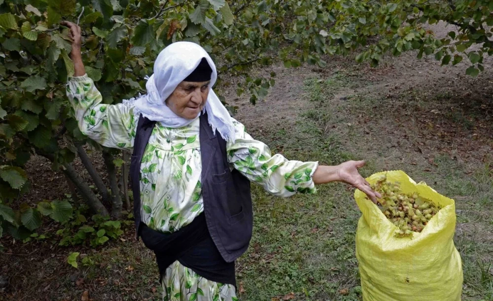 فندق محلی گیلان