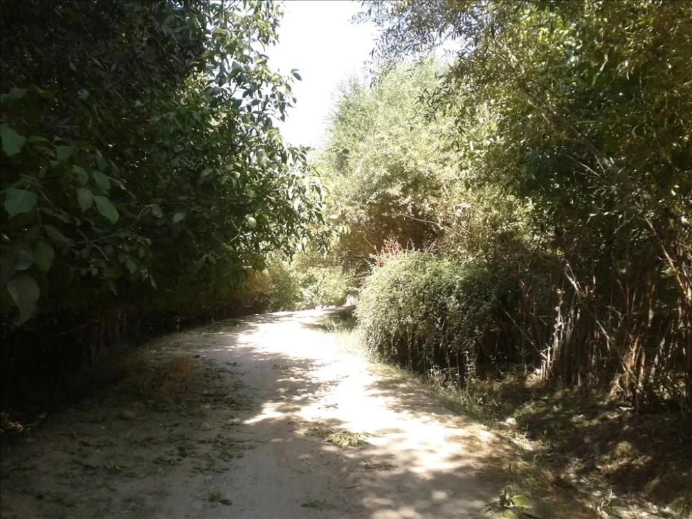 تصاویر روستای بانقلان