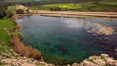 آشنایی با تالاب جوکندان در استان گیلان (+ تصاویر)