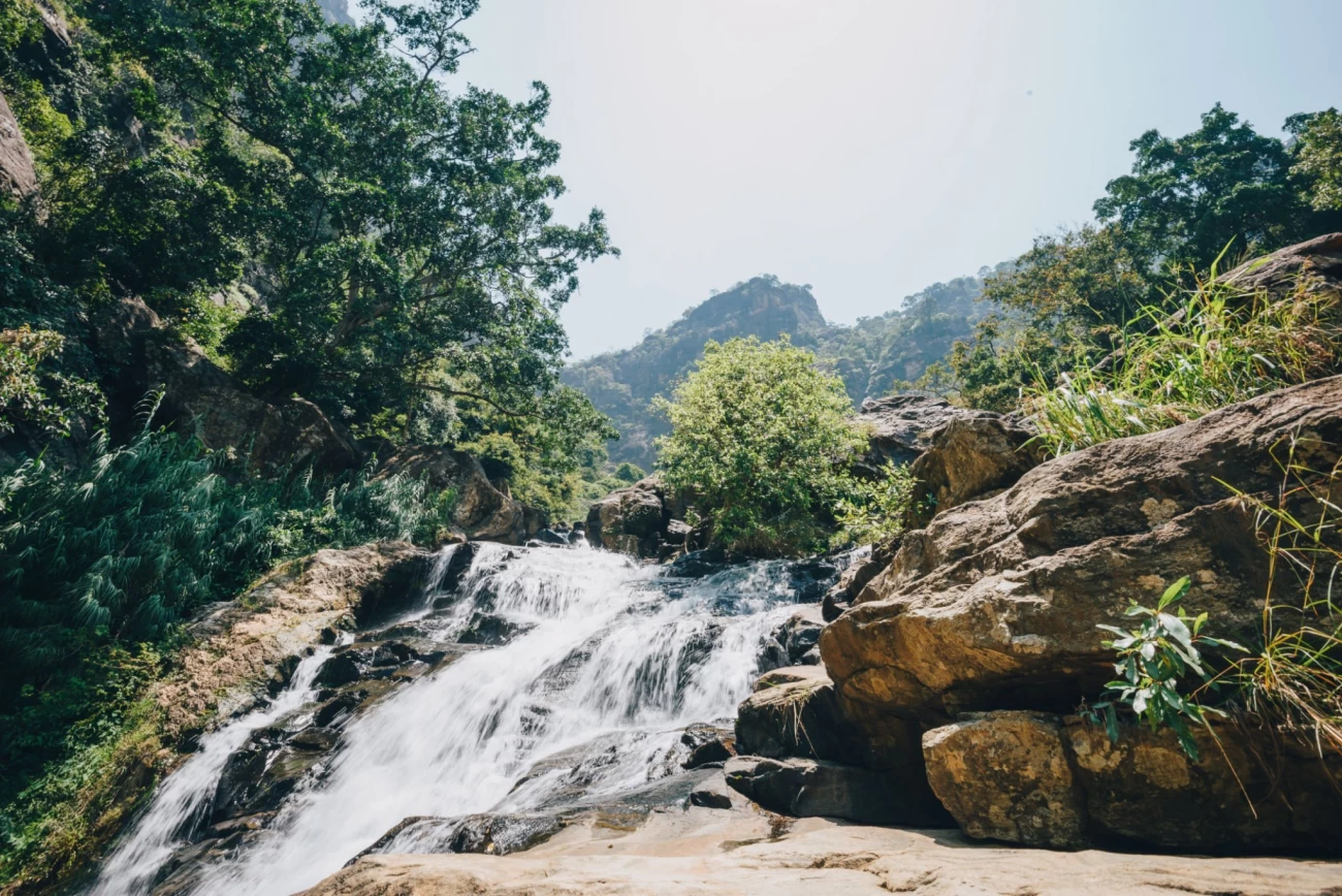 تصاویر الا سریلانکا