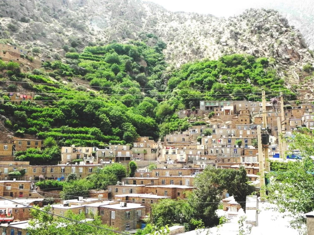 عکس روستای سفید برگ