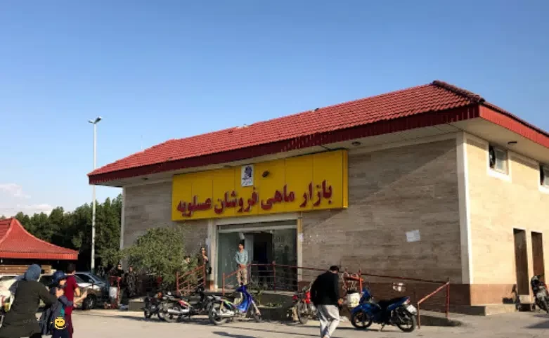 بازار ماهی فروشان عسلویه