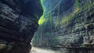 تنگه نارنج بن نوشهر کجاست ؟ راهنمای سفر + مسیر دسترسی (+ تصاویر)