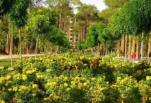 باغ جنت شیراز کجاست ؟ معرفی کامل (+ تصاویر)