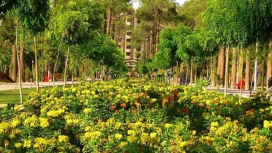 باغ جنت شیراز کجاست ؟ معرفی کامل (+ تصاویر)