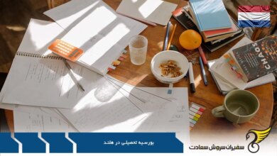 شانس اخذ بورسیه تحصیلی در هلند برای تحصیل رایگان (2 نکته مهم)