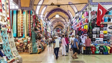 از وان ترکیه چه بخریم؟ راهنمای خرید + معرفی برندهای معروف (2 نکته مهم)