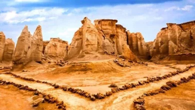 ۴ جاذبه خاص قشم که حتما باید آن ها را دید (2 نکته مهم)