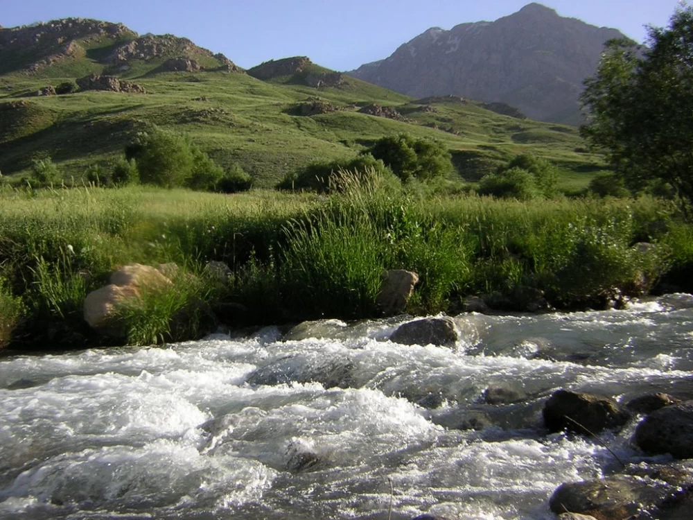 دیدنی های ازنا