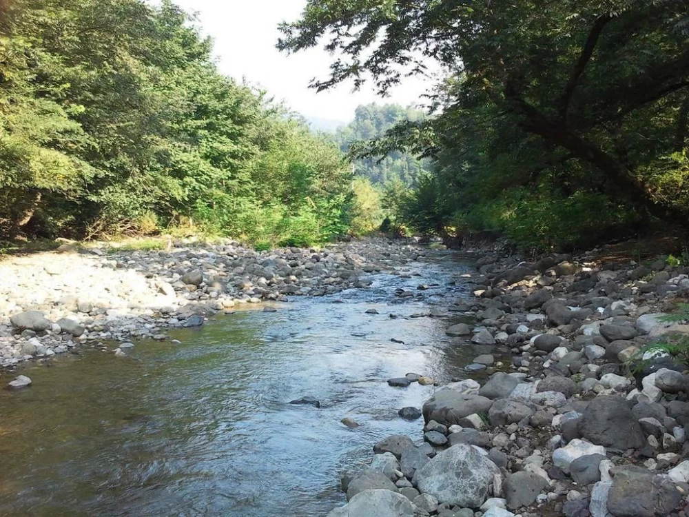 دیدنی های پارک جنگلی خرما