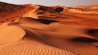 کویر پلوند کجاست ؟ راهنمای سفر + عکس، آدرس و تفریحات (+ تصاویر)