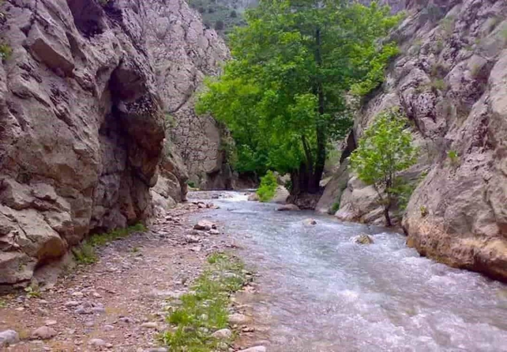 عکس روستای اخلمد مشهد