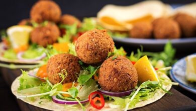 پیشنهاد چند غذا ساده برای سفرهای کوتاه و یک روزه (2 نکته مهم)