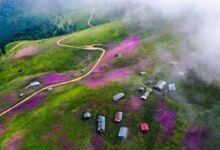ییلاق سلانسر کجاست ؟ راهنمای کامل سفر + عکس و مسیر دسترسی (+ تصاویر)