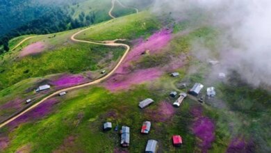 ییلاق سلانسر کجاست ؟ راهنمای کامل سفر + عکس و مسیر دسترسی (+ تصاویر)