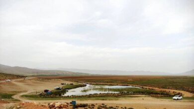 تالاب گندمان : همه آنچه قبل از رفتن باید بدانید (+ تصاویر)