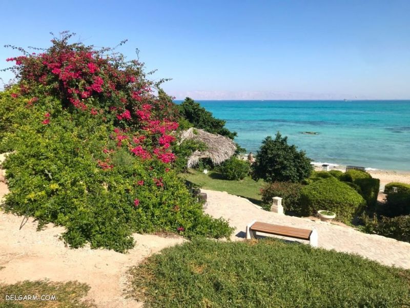 سفره به جزیره کیش
