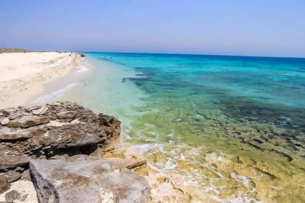 جزیره شیدور کجاست ؟
