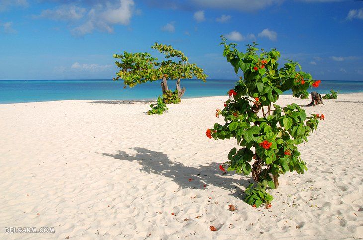 Guardalavaca از جاذبه های توریستی کوبا