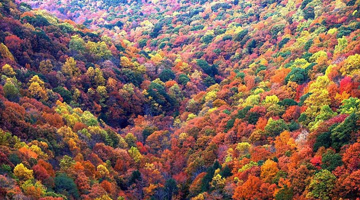 پاییز بهترین زمان سفر به گرجستان