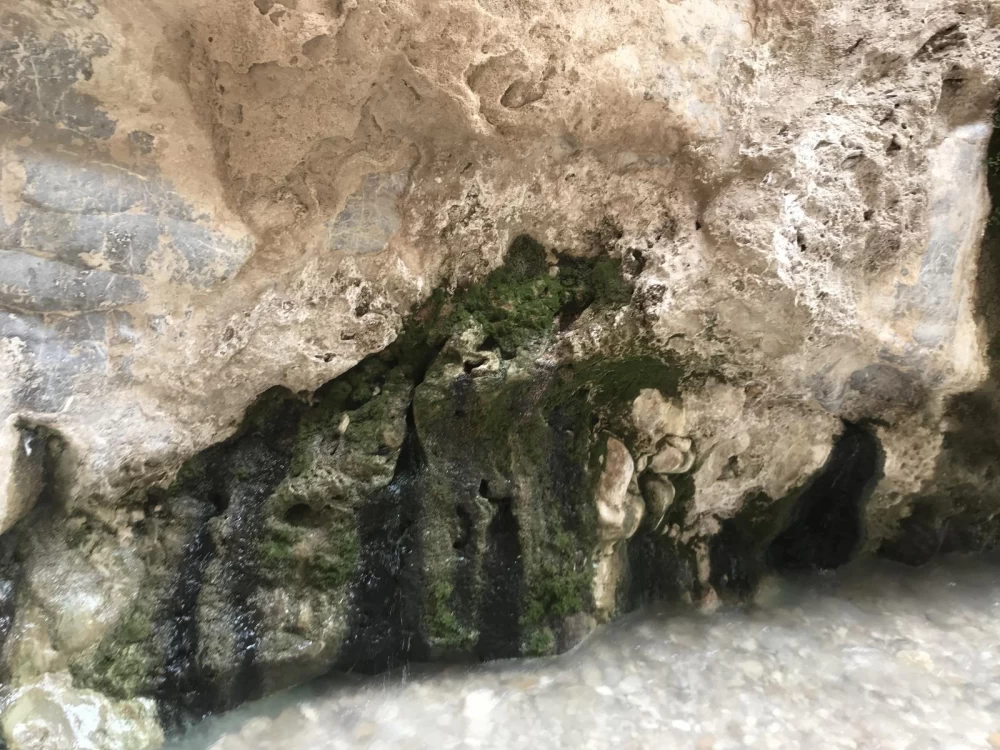 عکس چشمه مرتضی علی