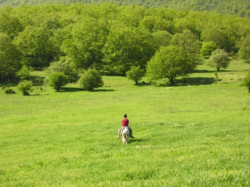 روستای درکش کجاست ؟