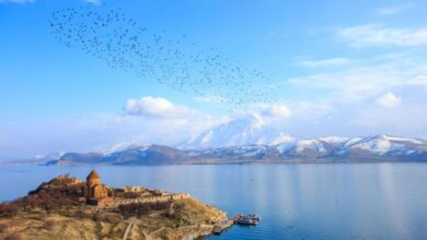 اگر سفر به وان شما را قلقلک می‌دهد؛ این مقاله را باید بخوانید! (2 نکته مهم)