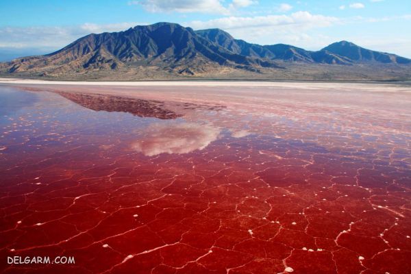 معرفی بهترین نقاط ایران برای سفر در زمستان (2 نکته مهم) بهترین نقاط ایران برای سفر در زمستان