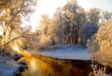 10 مکان مناسب برای سفر داخلی در زمستان (+ تصاویر)