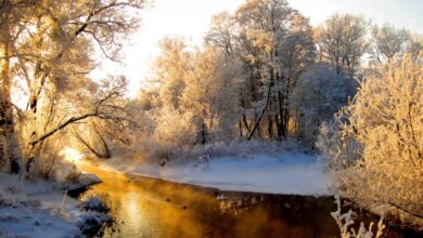 10 مکان مناسب برای سفر داخلی در زمستان (+ تصاویر)