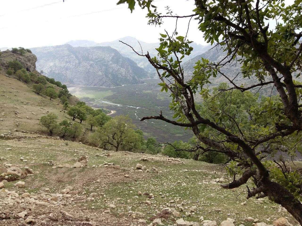 همه چیز درباره دشت شیمبار 