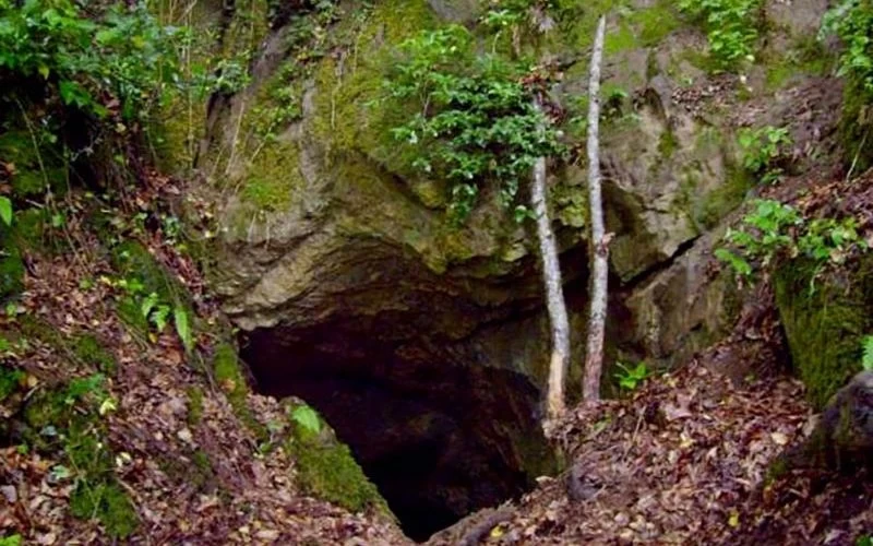 تصاویری از روستای فوشه